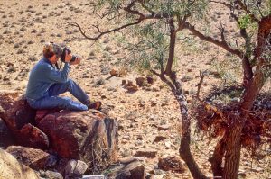 Esther Beaton photographing wedge-tailed eagle chicks in nest