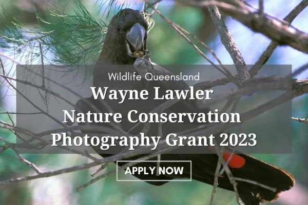 Wildlife Queensland Wayne Lawler Nature Conservation Photography Grant 2023